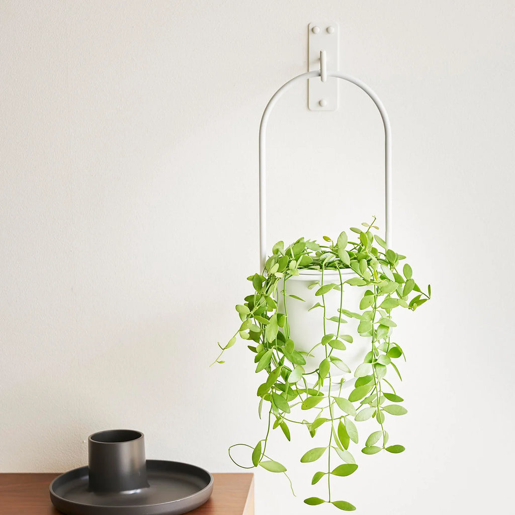 Pin-fixed hanging plant hanger tower